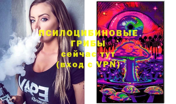 метадон Богородицк