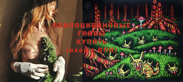 метадон Богородицк
