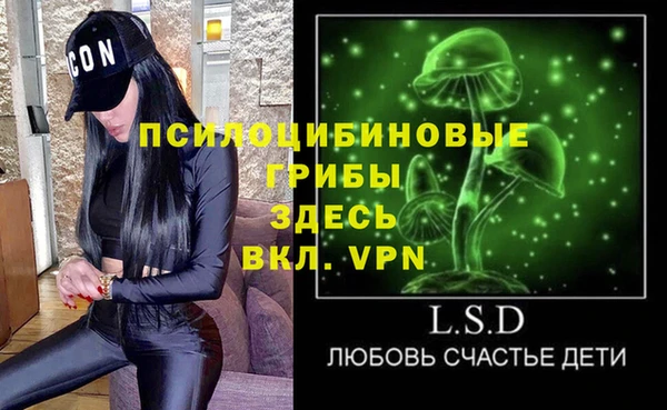 метадон Богородицк