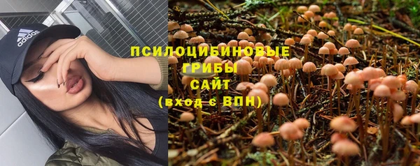 метадон Богородицк