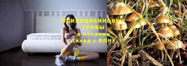 метадон Богородицк
